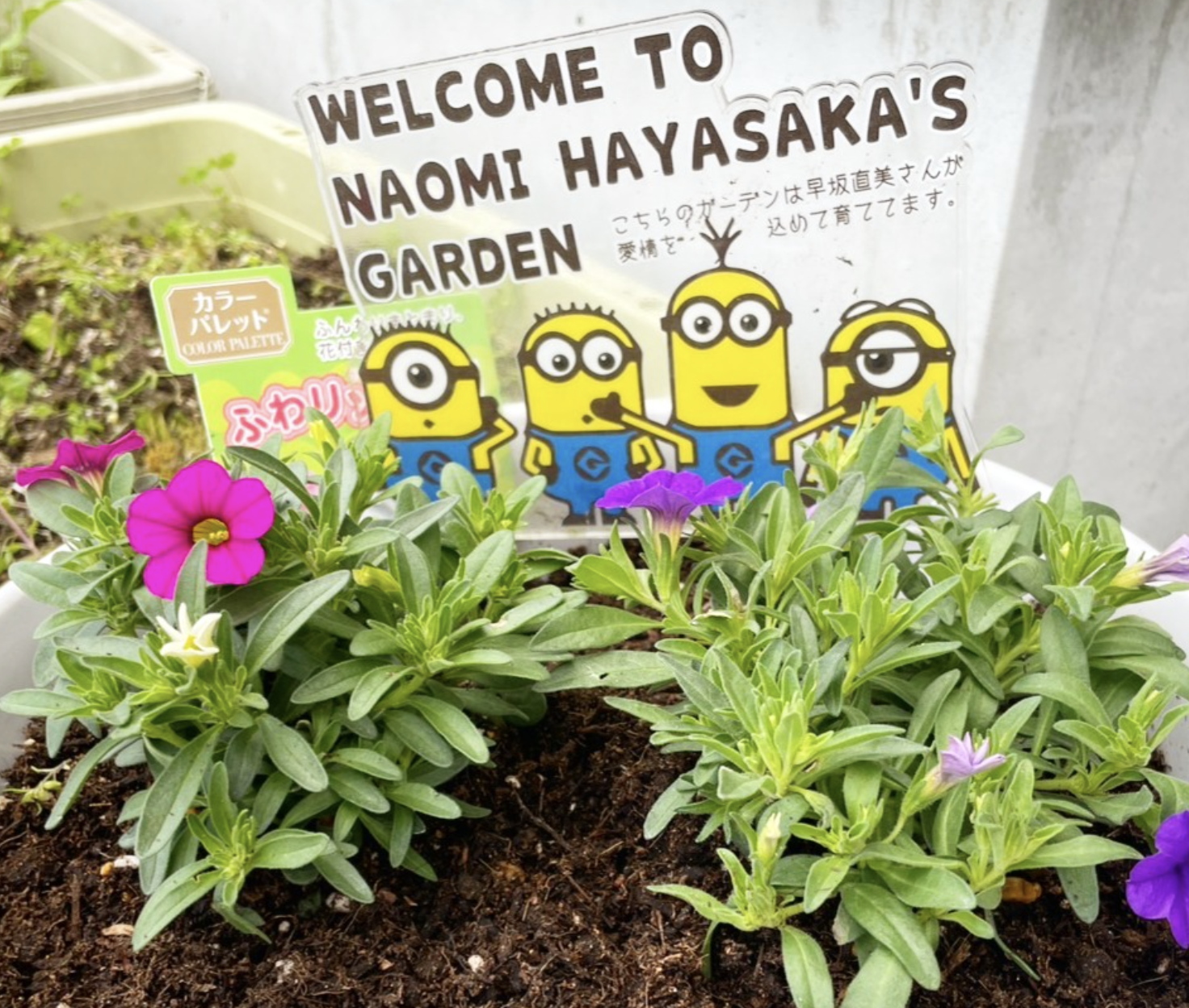 会社のエントランスが華やかに彩られました🌼